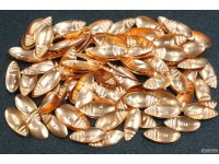 Чешуйки CR202 Щит с рисками глухой, 11,5 х 5 мм., медь, 500 шт.